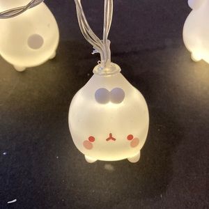 Mashimaro 6’ long light set. With can being a bank